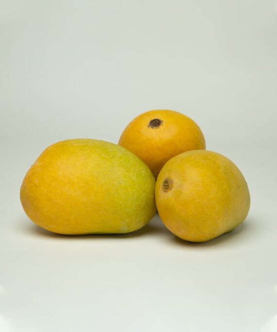 Ripe Anwar Ratol mango with yellow skin, known for its aromatic scent and deliciously sweet taste.