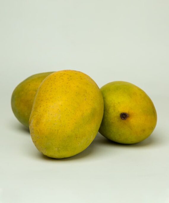 Trio of Langra mangoes with green skin, showcasing their unique shape and promising a burst of sweetness with every bite.