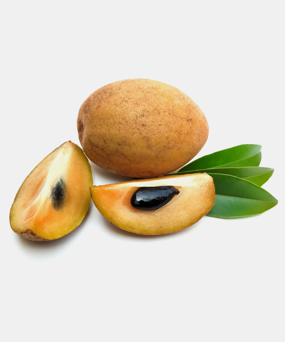 Ripe Chiko (Sapodilla) fruit, featuring its rough brown skin and juicy amber-colored flesh, a tropical delight from Pakistan.