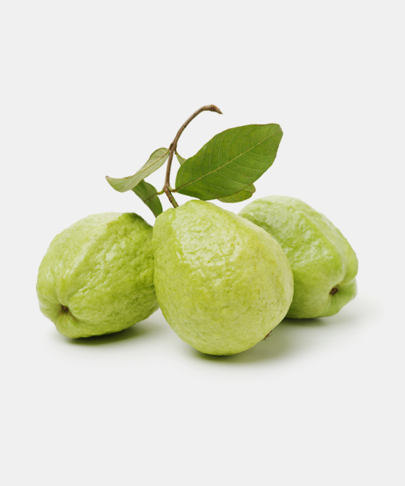Guava fruit, featuring its vibrant green skin and juicy pink flesh, a refreshing and flavorful Pakistani tropical fruit.