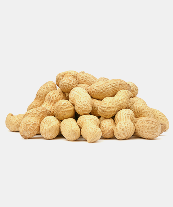 A bowl filled with roasted Peanuts, showcasing their golden-brown color and crunchy texture.