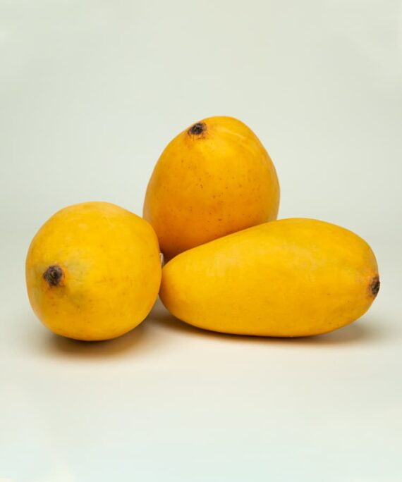 Trio of Sindhri mangoes with yellow skin, representing the essence of summer with their juicy and delectable nature.